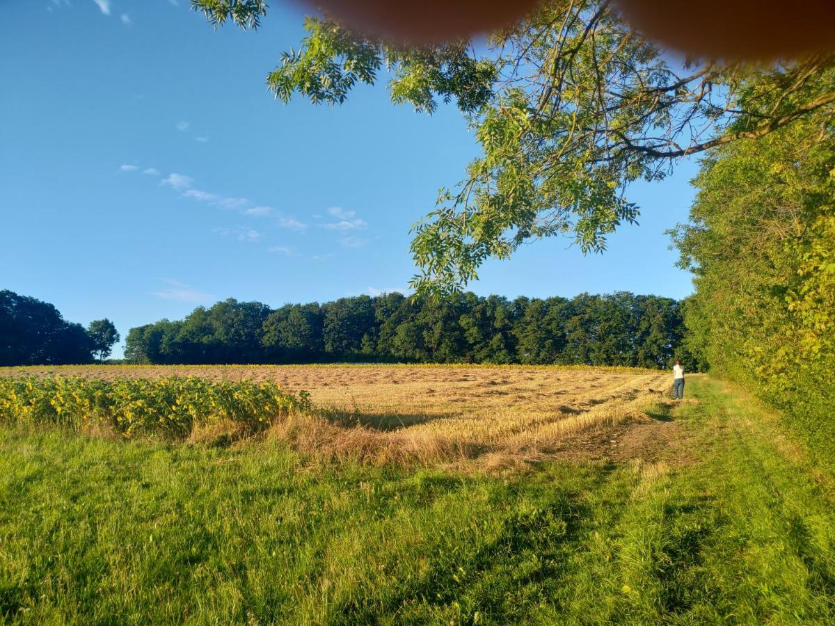 Haus Ringgau - Urlaub, Gemeinschaft Und Erlebnis Im Herzen Von Deutschland Herleshausen Exterior photo