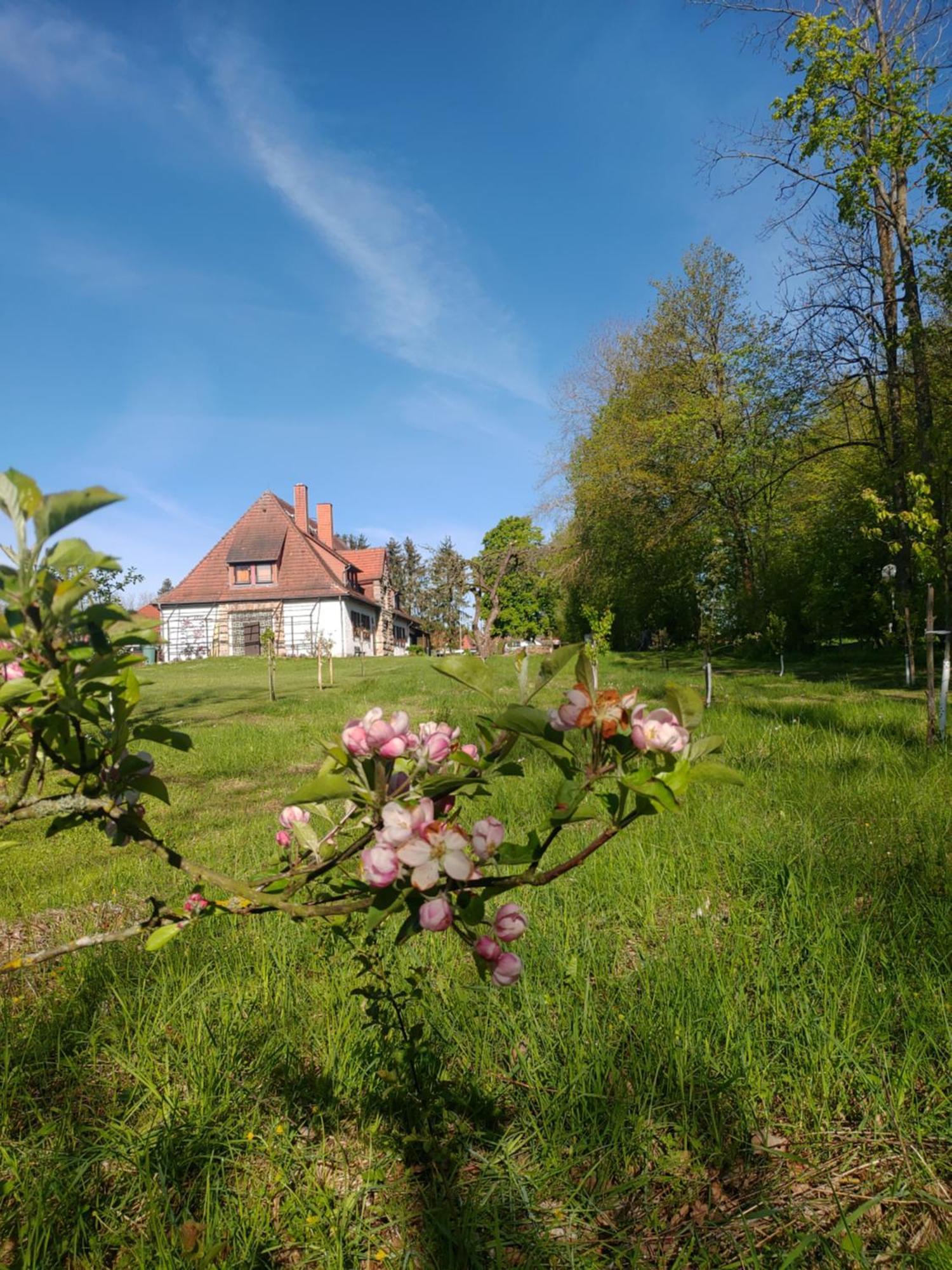 Haus Ringgau - Urlaub, Gemeinschaft Und Erlebnis Im Herzen Von Deutschland Herleshausen Exterior photo